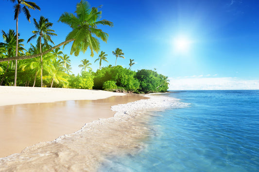 Summer Beach Blue Sea Palm Tree Backdrop