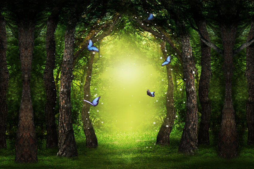 Mythical Forest Butterflies Magic Light Backdrop
