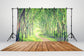 Enchanting Forest Lane Trees Wood Floor Backdrop M5-161