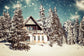 Snowy Winter Peace Cottage Christmas Backdrop