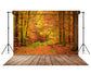 Autumn Forest Maple Trees Photography Backdrop M6-100