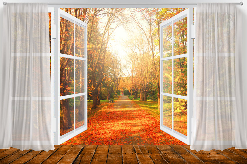Autumn Window View Maple Leaves Backdrop M6-101 – Dbackdrop