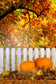 Maple Leaves Fence Pumpkins Autumn Backdrop
