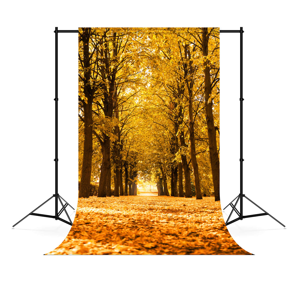 Trees Service Backdrop Autumn Landscape Alley Trees Sunlight Backdrop M6-105