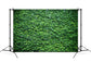 Green Ivy Wall Backdrop for Photo Booth M6-117