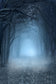 Misty Forest Halloween Photography Backdrop