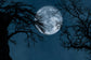 Glowing Full Moon Spooky Branches Halloween Backdrop