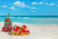 Sea Beach Christmas Tree Gift Boxes Backdrop M6-149