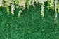 Green Leaves Wall Flowers Wedding Backdrop M6-21