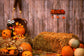 Pumpkin Haystack Autumn Halloween Backdrop 
