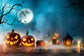 Spooky Night Full Moon Halloween Backdrop M6-33