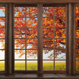 Autumn Marple Leaves Window View Backdrop M6-40 – Dbackdrop