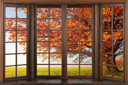 Autumn Marple Leaves Window View Backdrop