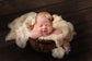 Classical Wood Backdrop for Newborn Photography M6-72