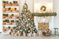 Christmas Tree Bookshelf Fireplace Socking Backdrop 