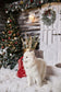 Christmas Home Decoration Family Courtyard Backdrop M6-89