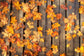 Maple Leaves on Wooden Floor Autumn Backdrop