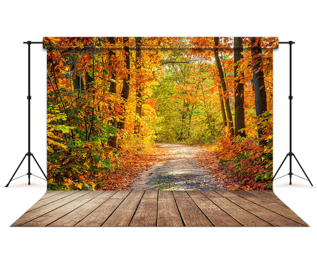 Tree Layout For Rectangular Backdrop Shape Beautiful Autumn Forest Lane Maple Trees Backdrop M6-99