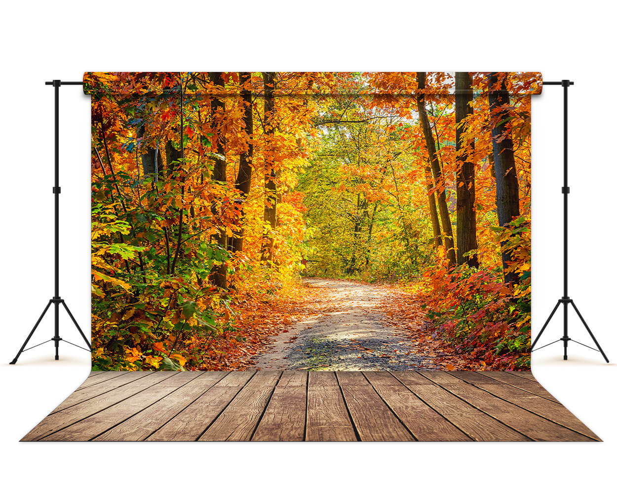 Trees Service Backdrop Beautiful Autumn Forest Lane Maple Trees Backdrop M6-99 – Dbackdrop
