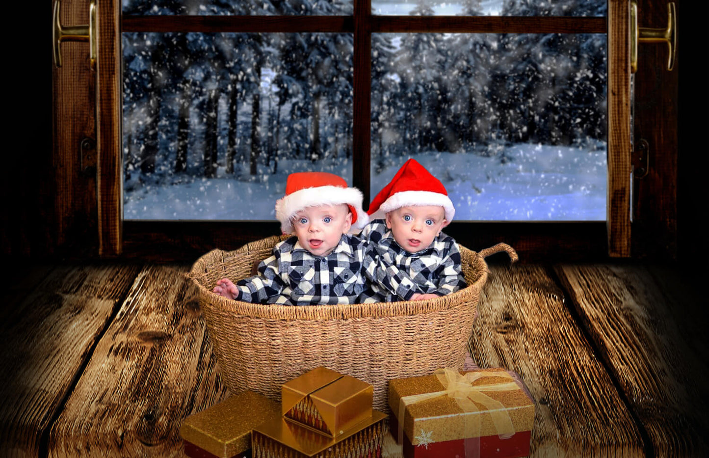 Blurred Winter Snow Window View Backdrop M7-18 – Dbackdrop