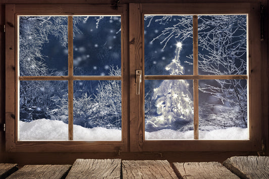 Winter Snowy Forest Window Scenery Backdrop M7-19