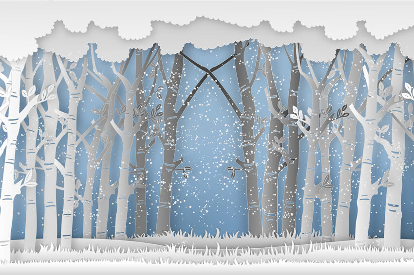 Winter Snowy Forest Tall Trees Grassland Backdrop M7-25