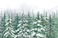 Winter Pine Trees Forest Snow Scenery Backdrop M7-43