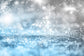 Winter Ice Falling Snowflake Photography Backdrop M7-45