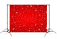 Snowflake Winter Christmas Red Backdrop M7-48