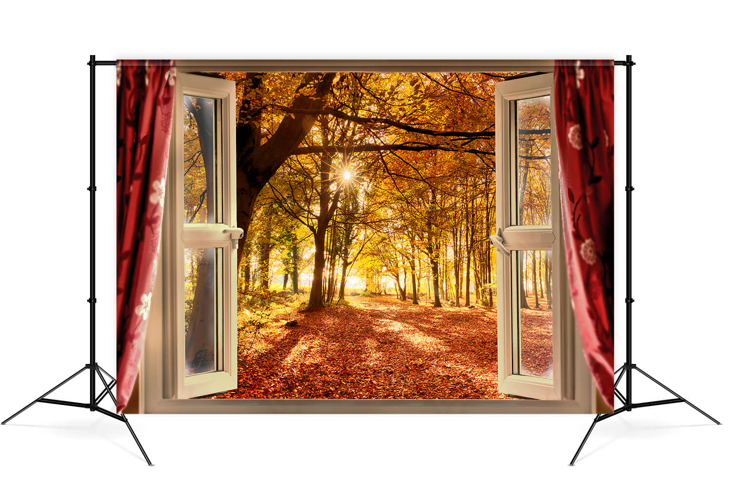 Outside Window Backdrop Autumn Forest Sunrise Window Landscape Backdrop M7-81 – Dbackdrop