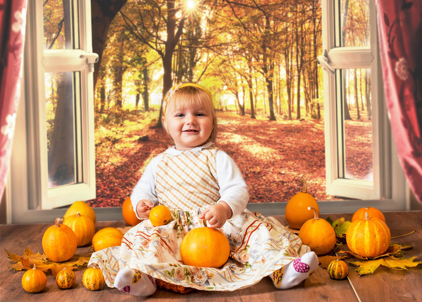 Autumn Forest Sunrise Window Landscape Backdrop M7-81 – Dbackdrop