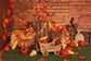 Thanksgiving Pumpkins Autumn Photography Backdrop M7-82