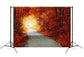Magical Autumn forest Path Landscape Backdrop M7-85