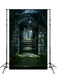 Halloween Dark Spooky Old House Backdrop M8-05