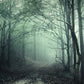 Mysterious Forest Foggy Path Halloween Backdrop M8-09