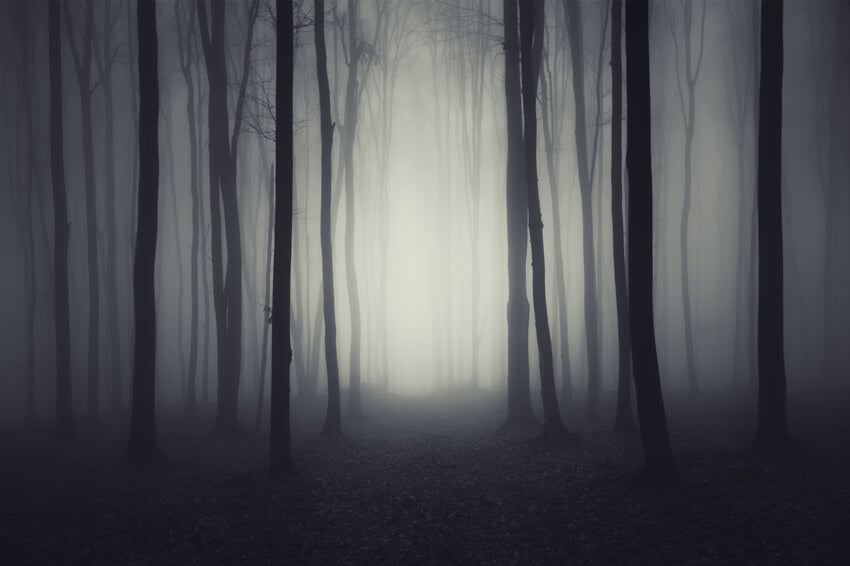 Halloween Dark Gloomy Night Forest Backdrop