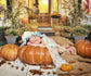 Thanksgiving Pumpkins Crops Straw Backdrop M8-11