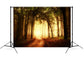 Autumn Misty Path Forest Scenery Backdrop M8-12