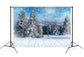 Winter Forest Snowflake Wonderland Backdrop M8-18