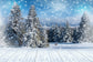 Winter Forest Snowflake Wonderland Backdrop