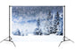 Snowy Winter Forest Trees Landscape Backdrop M8-25