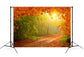 Autumn Forest Maple Leaves Scenery Backdrop M8-28
