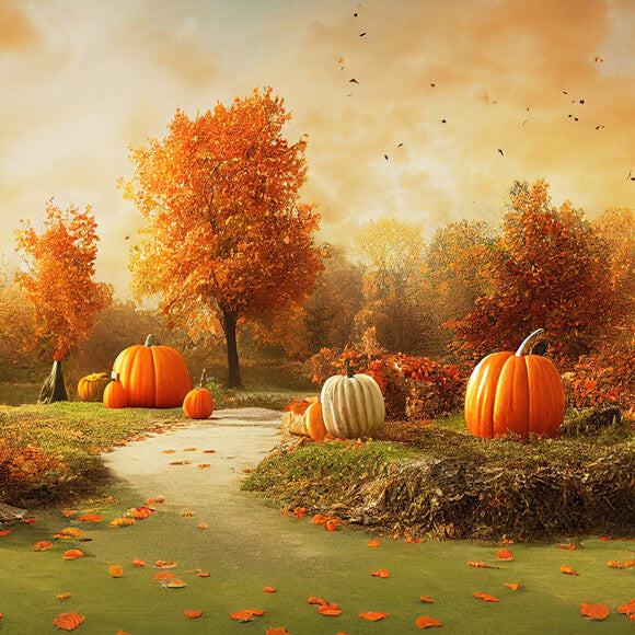 Fall Scenery Large Fall Scenery Pumpkins Photography Backdrop M8-46 โ Dbackdrop