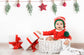 Christmas Garland Photography Decoration Backdrop M8-81