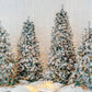 Glowing Christmas Tree Photo Booth Backdrop M9-16