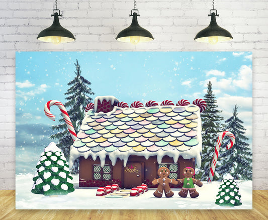 Christmas Gingerbread House Photography Backdrop M9-23