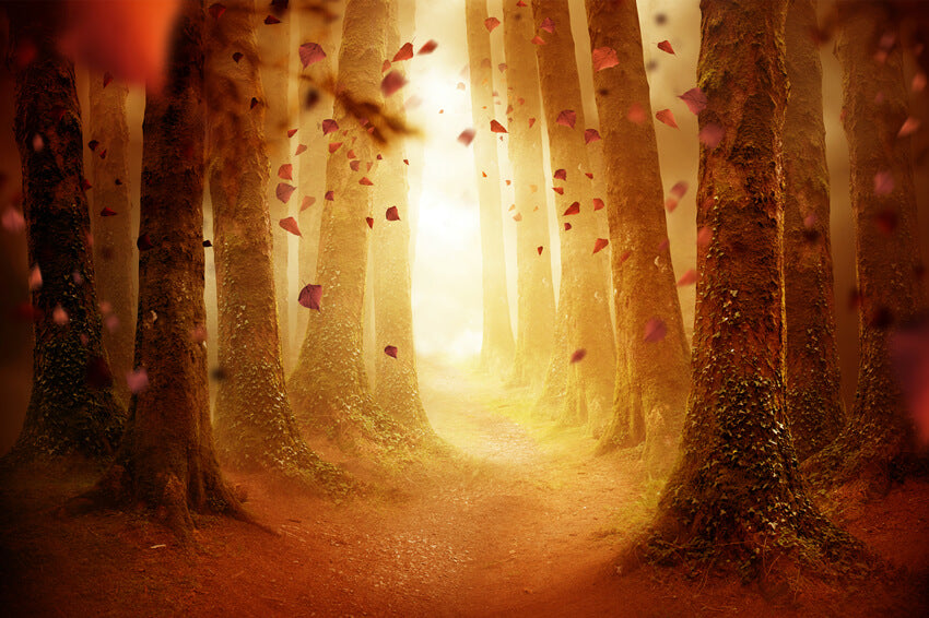 Autumn Forest Pathway Falling Leaves Backdrop 