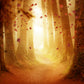 Autumn Forest Pathway Falling Leaves Backdrop M9-31