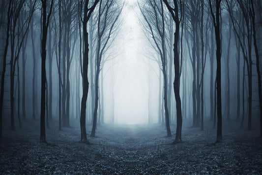 Mysterious Foggy Forest Halloween Backdrop