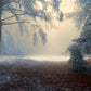 Snowy Forest Winter Nature Landscape Backdrop M9-59